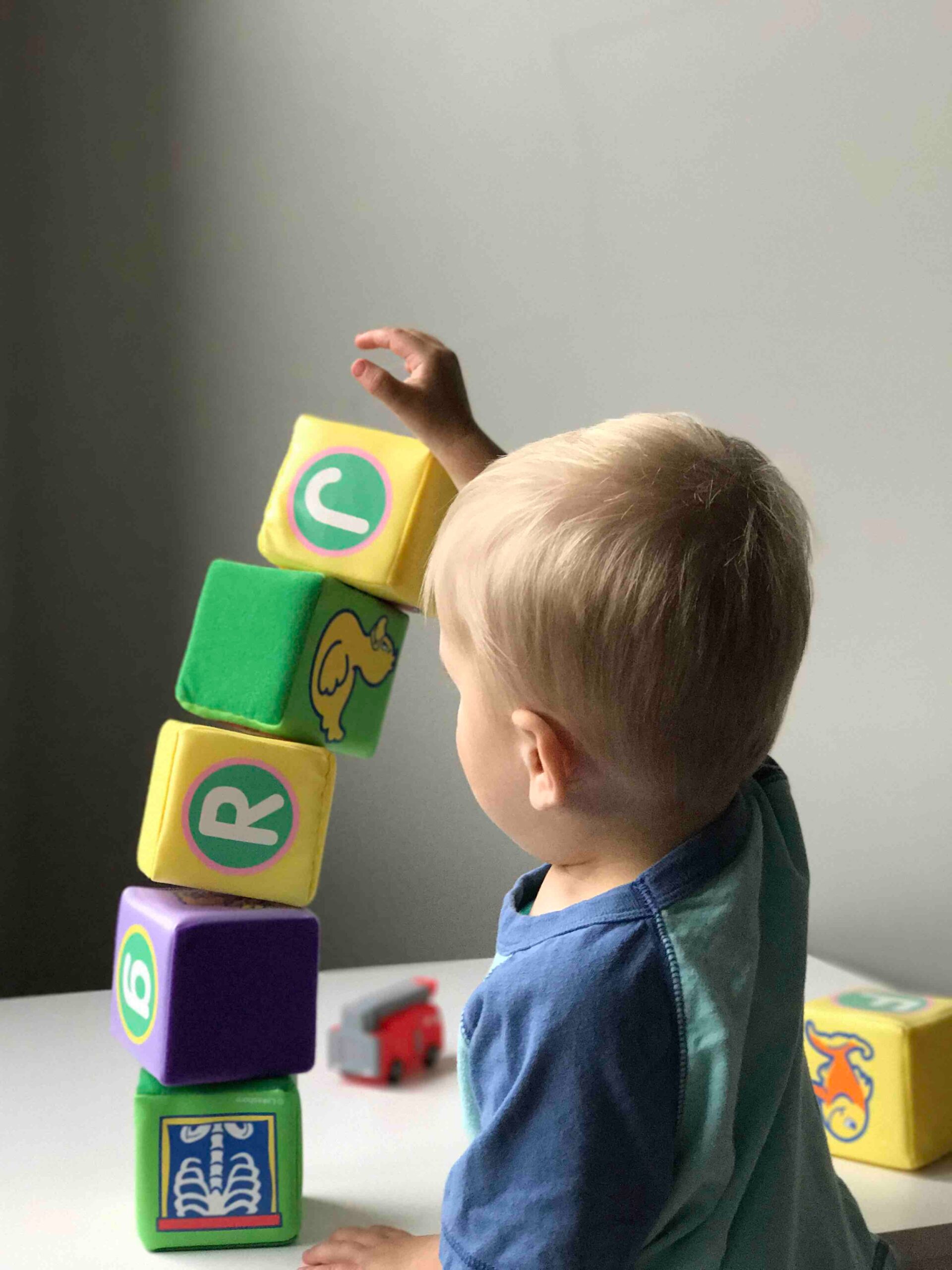 REVISED 2024 Foundations of Infant Toddler Development (Virtual)